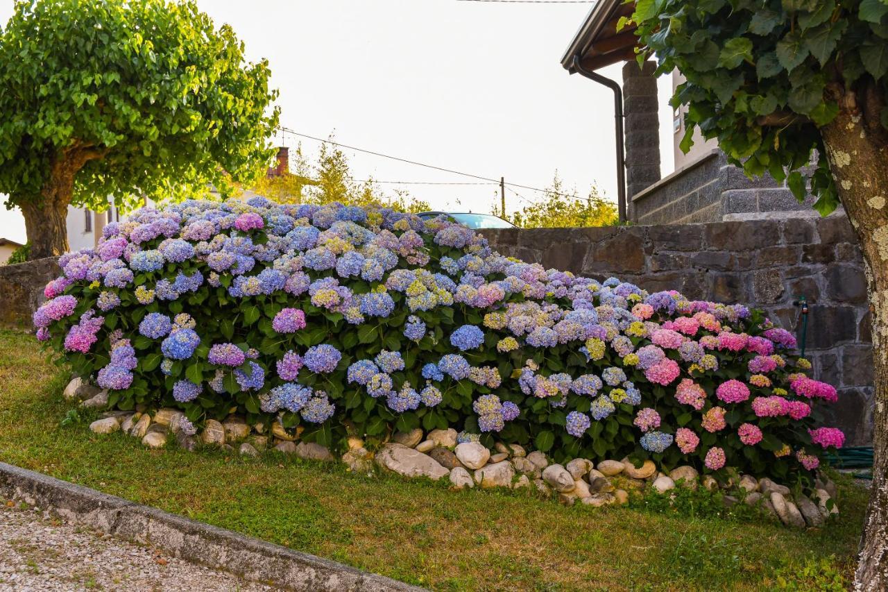 Pri Stari murvi Vogrsko Exterior foto